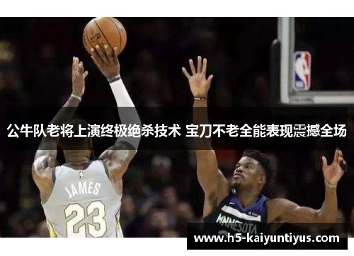 公牛队老将上演终极绝杀技术 宝刀不老全能表现震撼全场