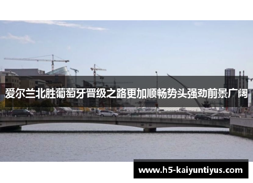 爱尔兰北胜葡萄牙晋级之路更加顺畅势头强劲前景广阔