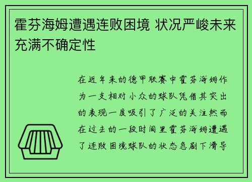霍芬海姆遭遇连败困境 状况严峻未来充满不确定性