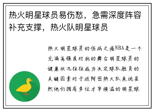 热火明星球员易伤愁,急需深度阵容补充支撑,热火队明星球员
