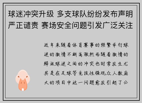 球迷冲突升级 多支球队纷纷发布声明严正谴责 赛场安全问题引发广泛关注